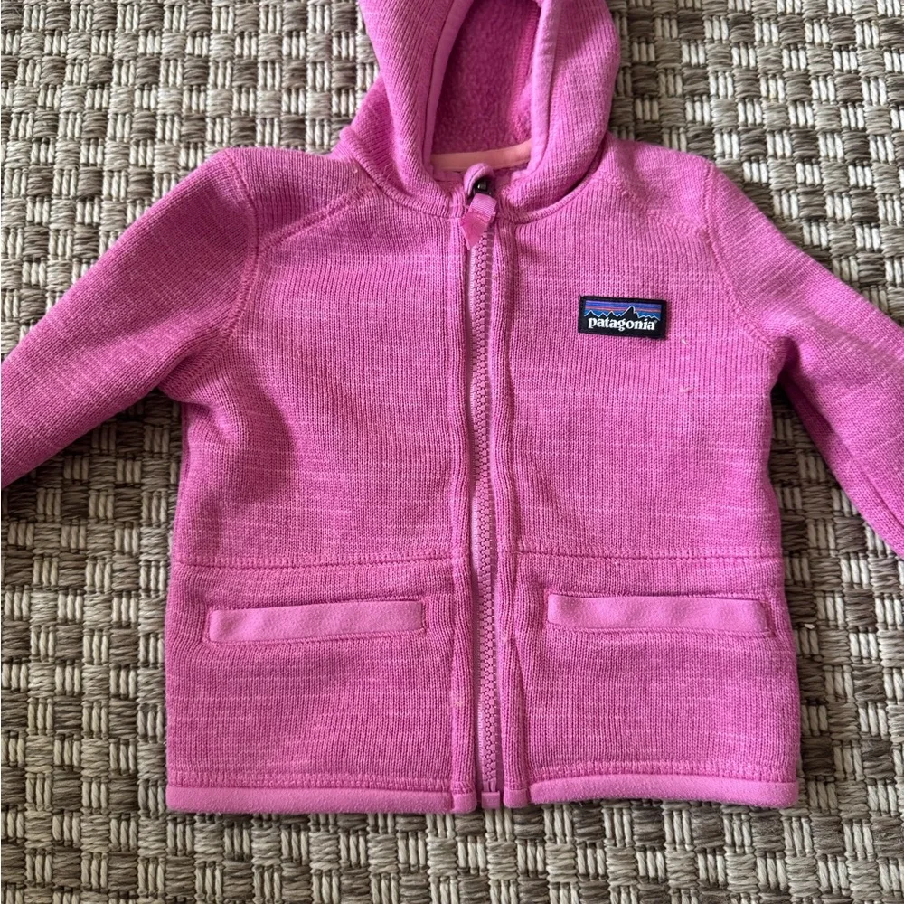 Patagonia Better Sweater Jacket & synchilla‎ fleece vest